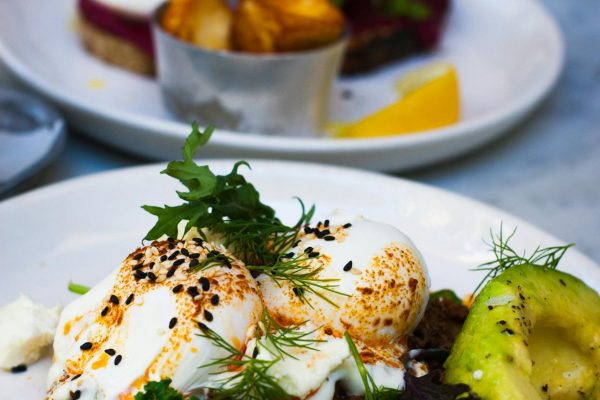 pexels-kyleroxas-2122294 pexels-kyleroxas-2122294