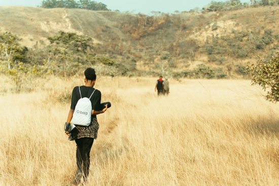 Safari Tour Operators